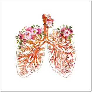 Anatomical Lungs Posters and Art